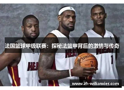 法国篮球甲级联赛：探秘法篮甲背后的激情与传奇
