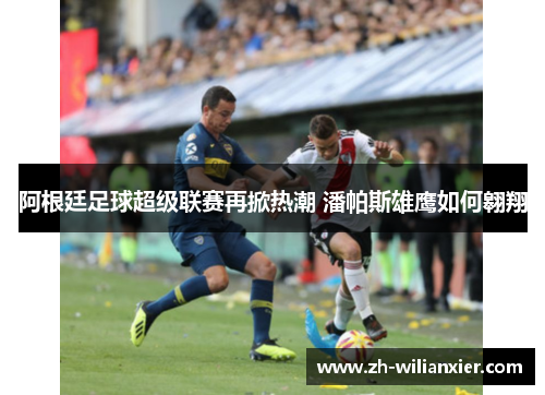 阿根廷足球超级联赛再掀热潮 潘帕斯雄鹰如何翱翔